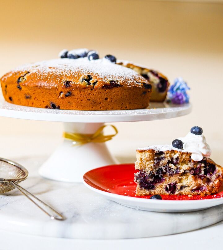 simple blueberry cake with no frosting