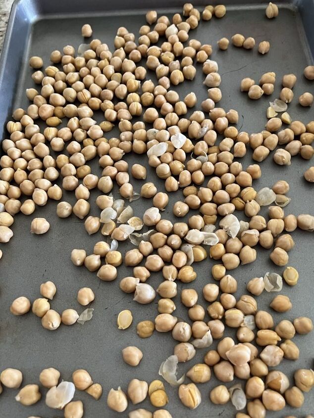 spicy chickpeas, The chickpeas will look like this with some of their papery jackets falling off from the drying process Don t throw these out as they will make a quick tasty morsel once the pan comes out of the oven