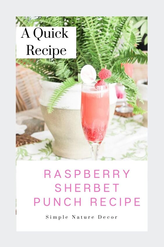 raspberry sherbet punch recipe with lemonade