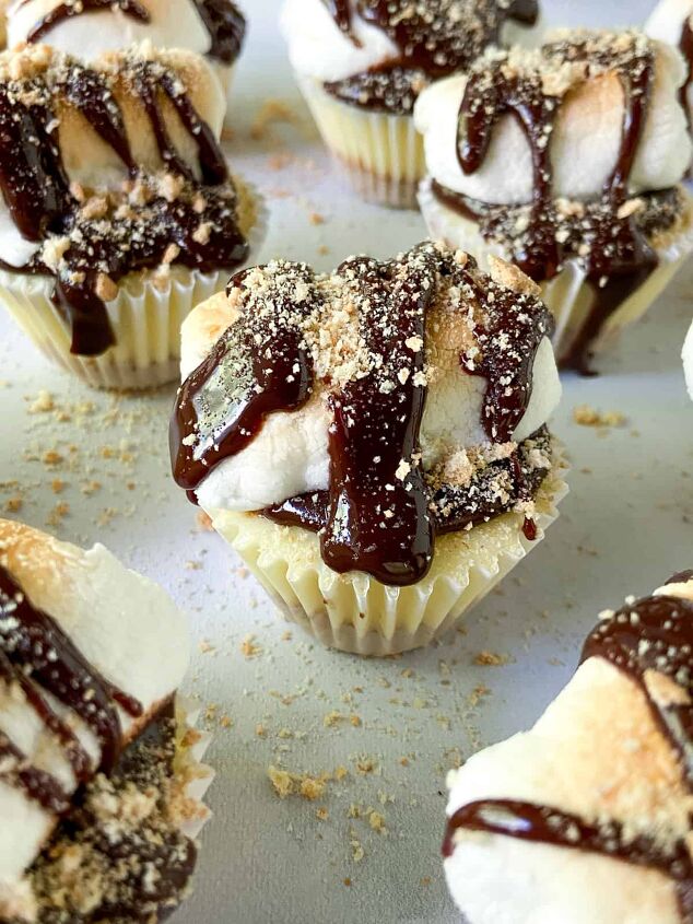 mini s mores cheesecakes with graham cracker crust