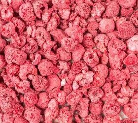 How to Make Freeze Dried Raspberries