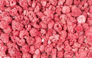 How to Make Freeze Dried Raspberries