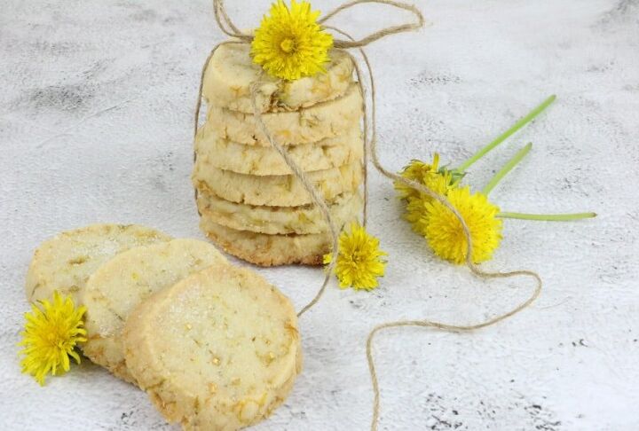 dandelion cookies recipe