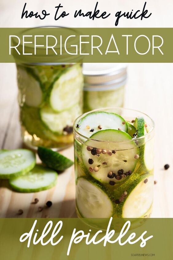 easy homemade refrigerator dill pickles