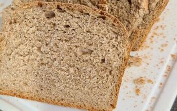 The Best Homemade Whole Wheat Bread