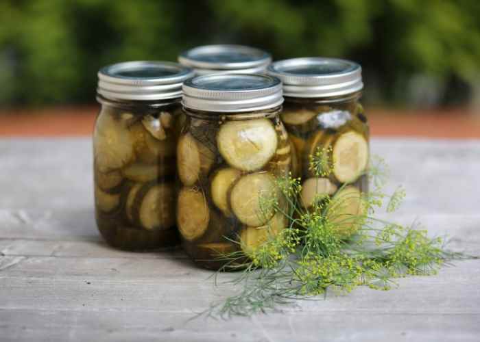 old fashioned dill pickle canning recipe