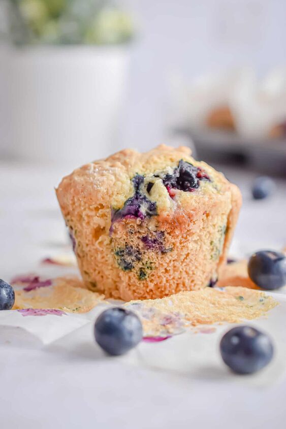 bakery style sourdough blueberry muffins