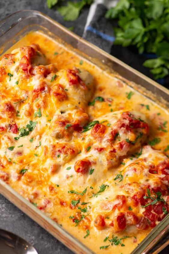 queso chicken, Queso Chicken