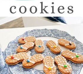 Super Easy Summer Party Cookies