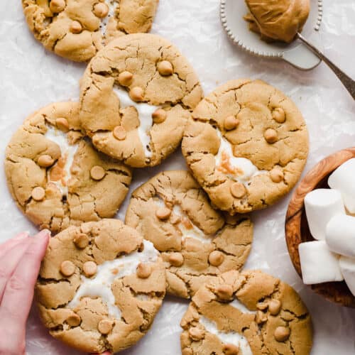 peanut butter marshmallow and chocolate cookies