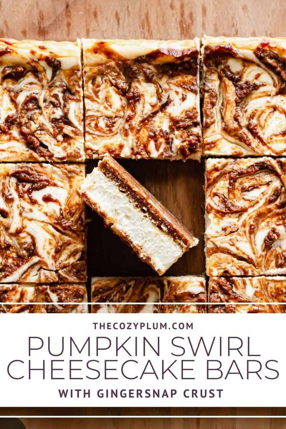 pumpkin swirl cheesecake bars