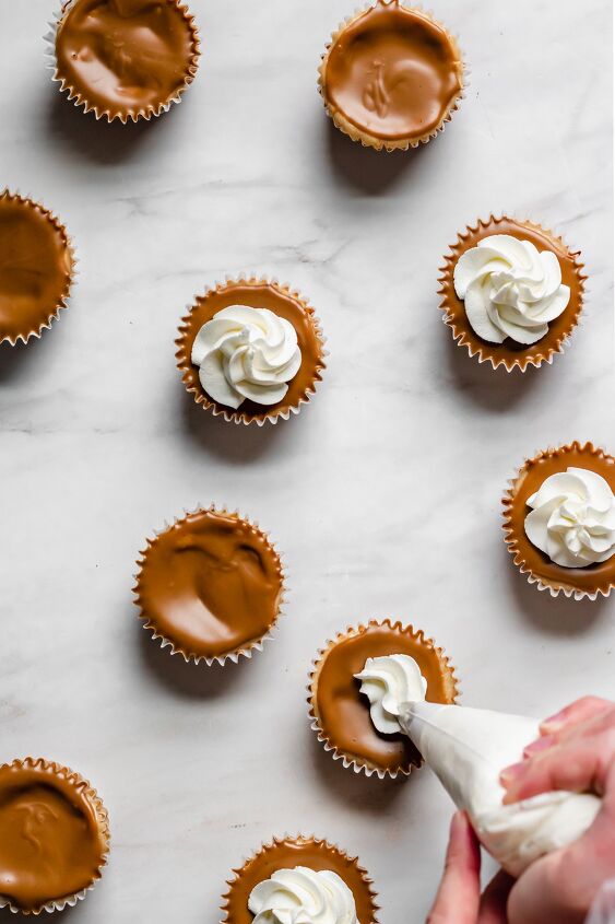mini speculoos cheesecake