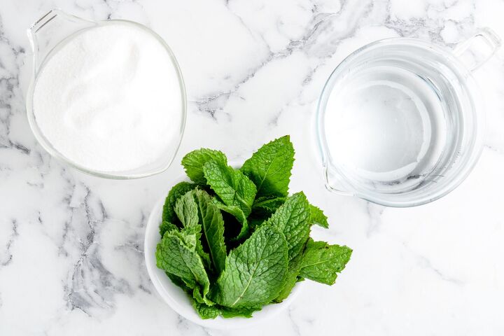 mint simple syrup recipe, Ingredients for Mint syrup