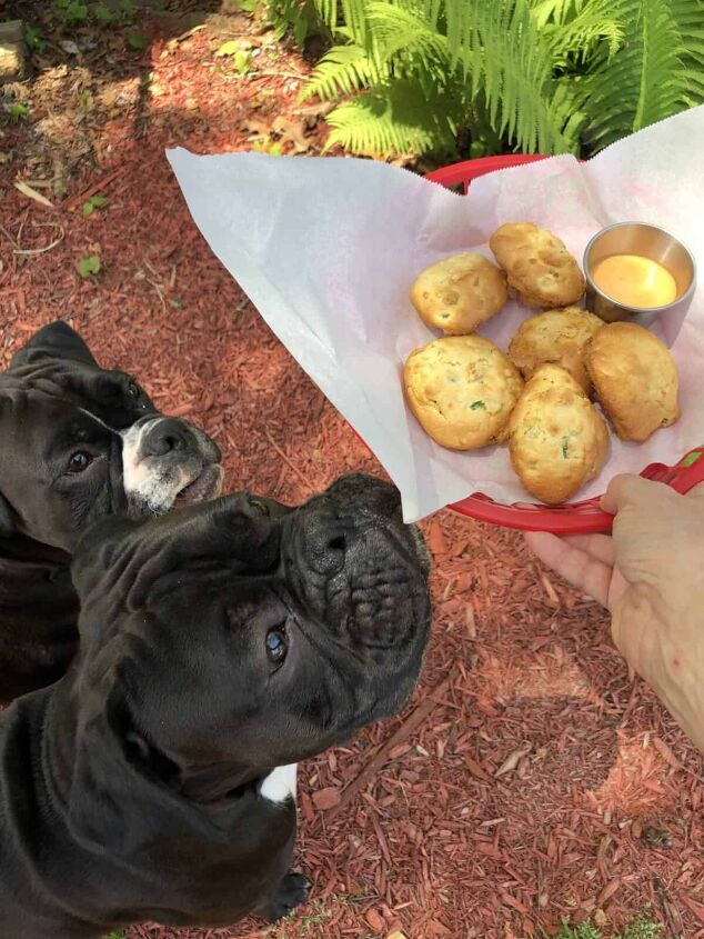 easy air fryer hushpuppies recipe ninja foodi dessert, Puppies and Air Fryer Hushpuppies