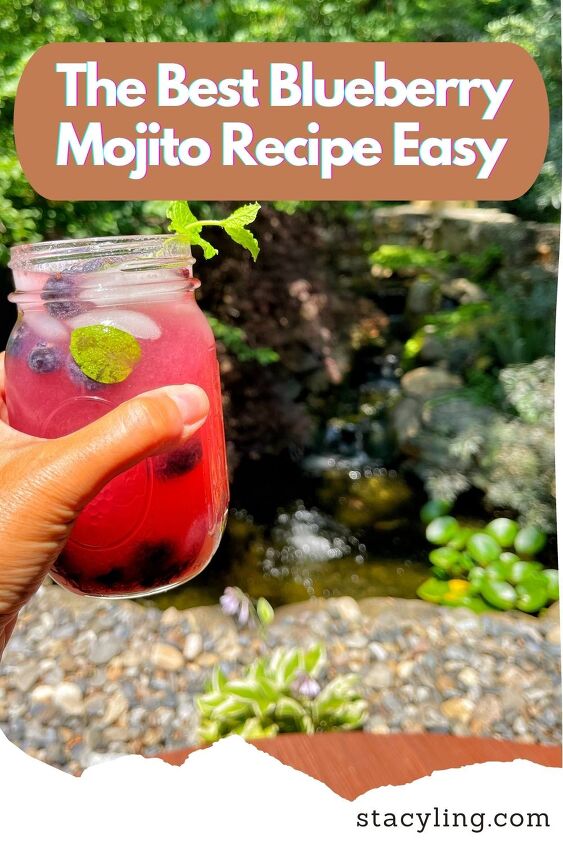 the best blueberry mojito recipe easy