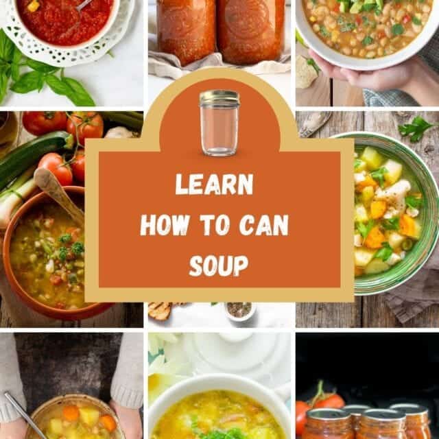 canned vegetable soup