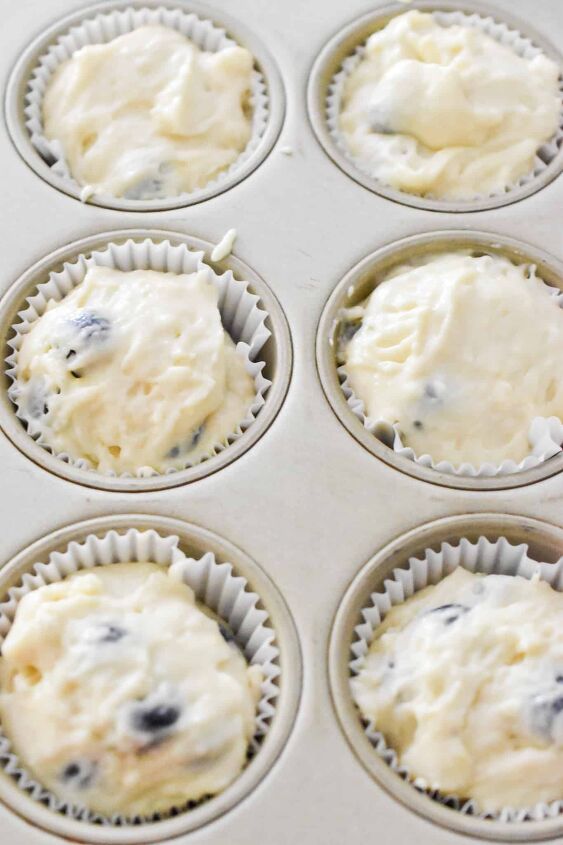 blueberry lemon muffins with sour cream, The muffin batter is added to the muffin tin