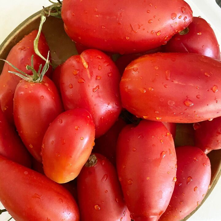 4 ingredient tomato sauce, Roma Tomatoes