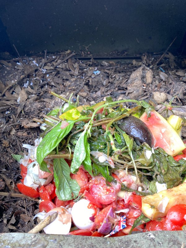 4 ingredient tomato sauce, In the compost tumbler