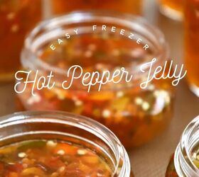 Quick and Easy Freezer Hot Pepper Jelly No Canning Required Foodtalk