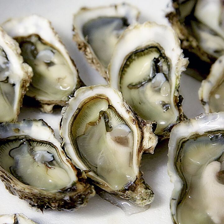 fresh oysters with a mignonette dressing