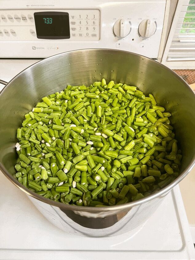 how to can green beans, This is what they looked like before cooking bright green in color