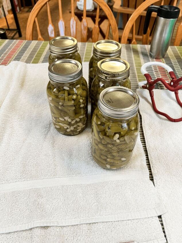 how to can green beans, Got the beans all ready to be canned in the jars