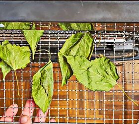 How to Make Mulberry Leaf Tea