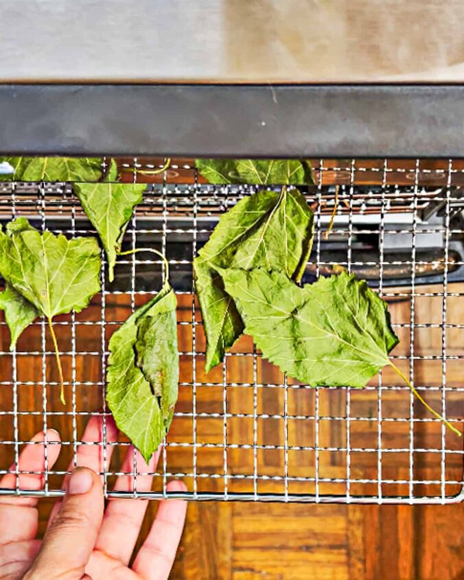 how to make mulberry leaf tea