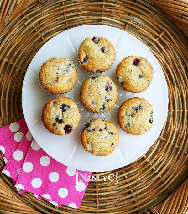 sugar crusted blackberry muffins