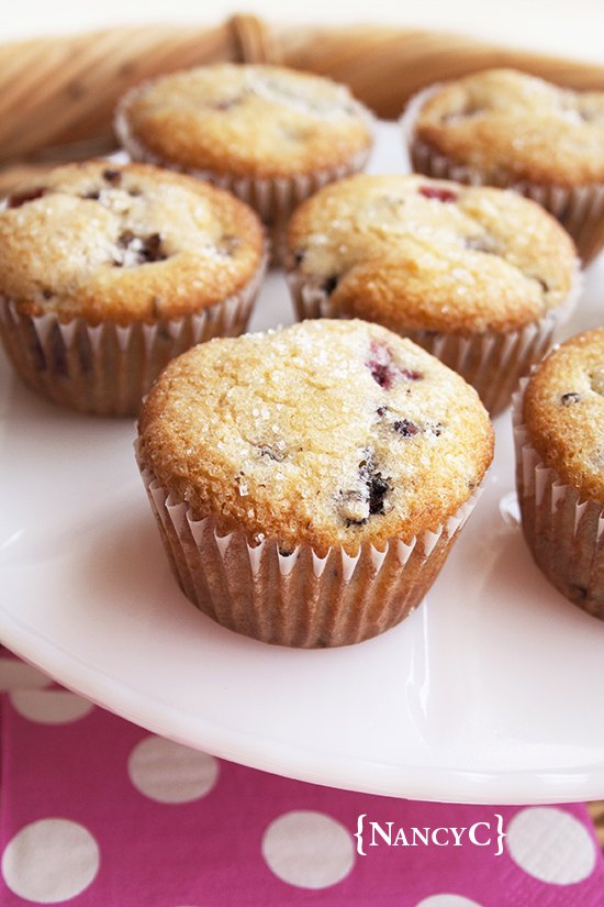 sugar crusted blackberry muffins