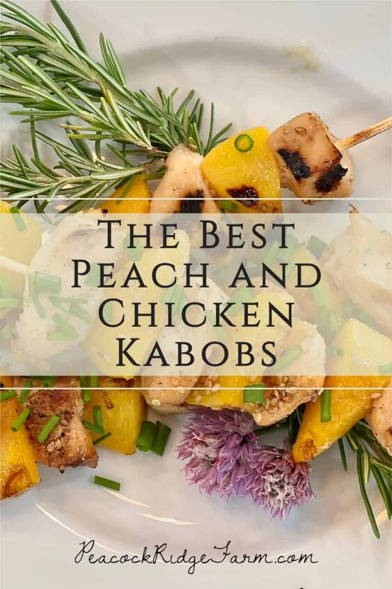 the best honey garlic chicken and peach kabobs recipe