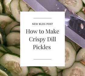 how to make the best crunchy dill pickles