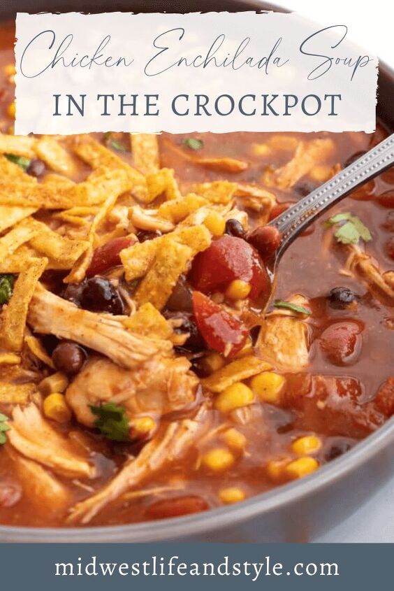 hearty crockpot chicken enchilada soup