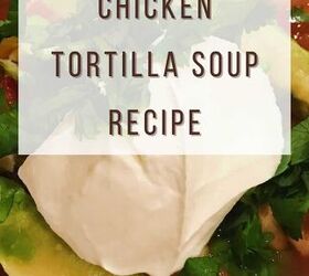 heathy instant pot chicken tortilla soup recipe