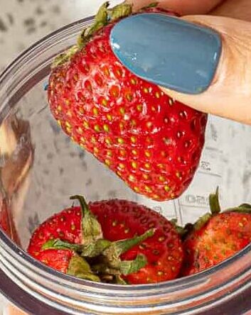 how to make fruit leather in a food dehydrator, person adding strawberries to small blender