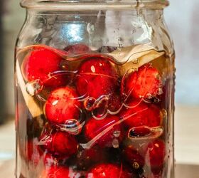 Honey Fermented Cranberries