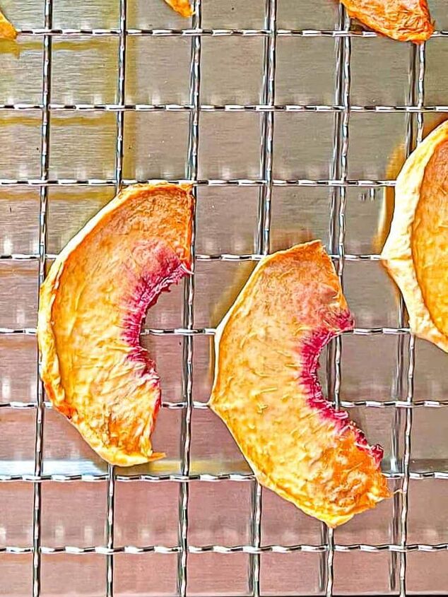 how to dry peaches in a dehydrator, dehydrated peaches on a metal rack on a silver metal surface