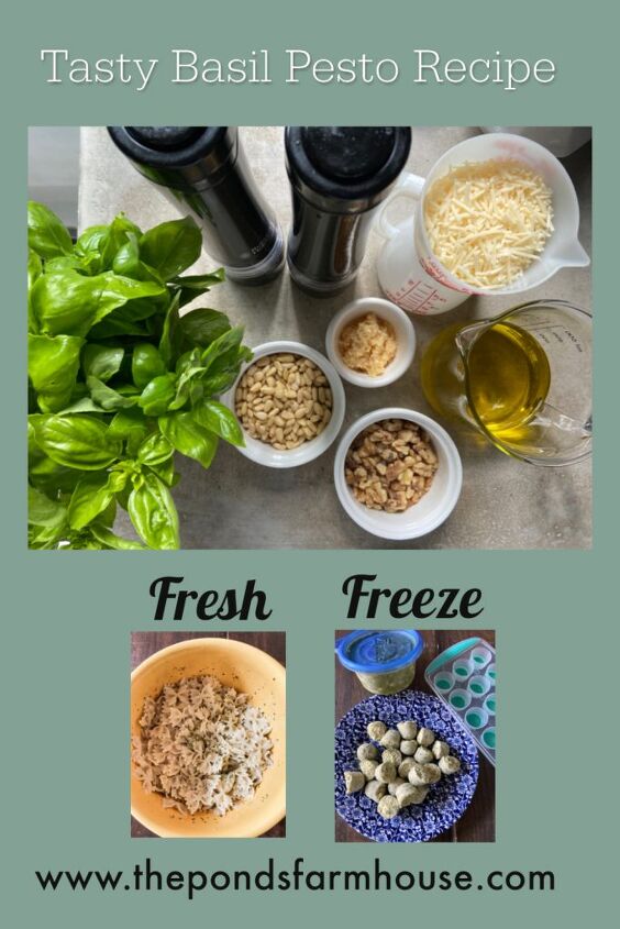 tasty basil pesto recipe, Basil Pesto Recipe to use fresh or freeze for future use Pesto dipping oil Basil Pesto Pasta basilpesto