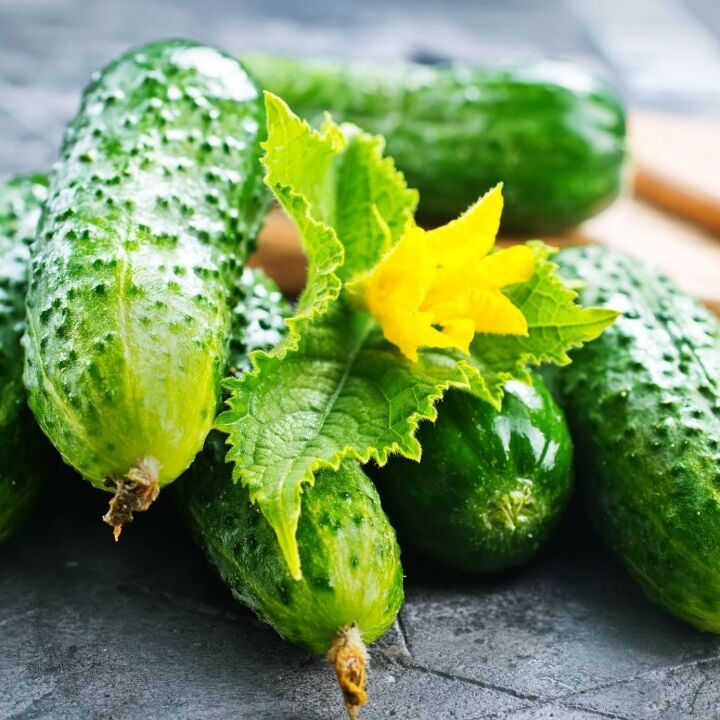 fresh herb cucumber recipes