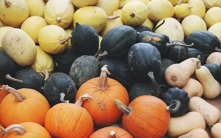 how to cook pumpkin squash, colorful winter squash