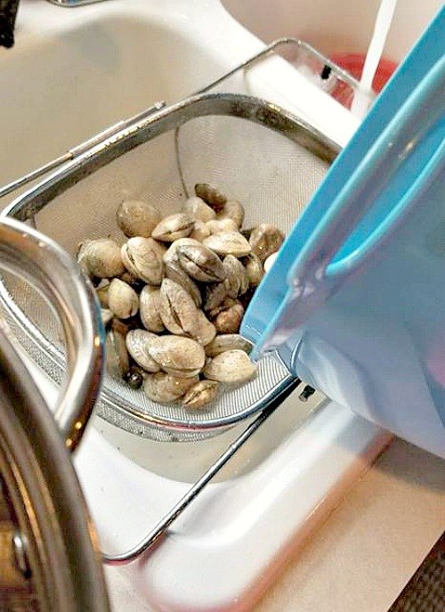 white wine steamed clams recipe, This White Wine Steamed Clams Recipe are perfect for when you have a fresh batch of clams So easy to put together and the wine adds an amazing flavor too