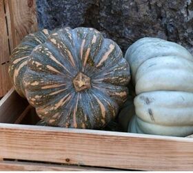 Roasted Pumpkin Soup With Coconut Milk (Gluten Free Vegan Recipe