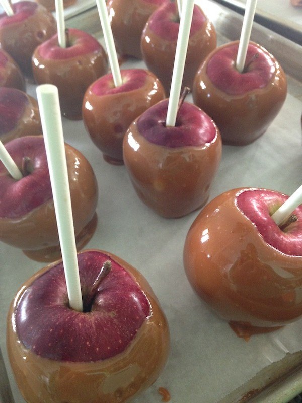 caramel apples drizzled with chocolate tutorial