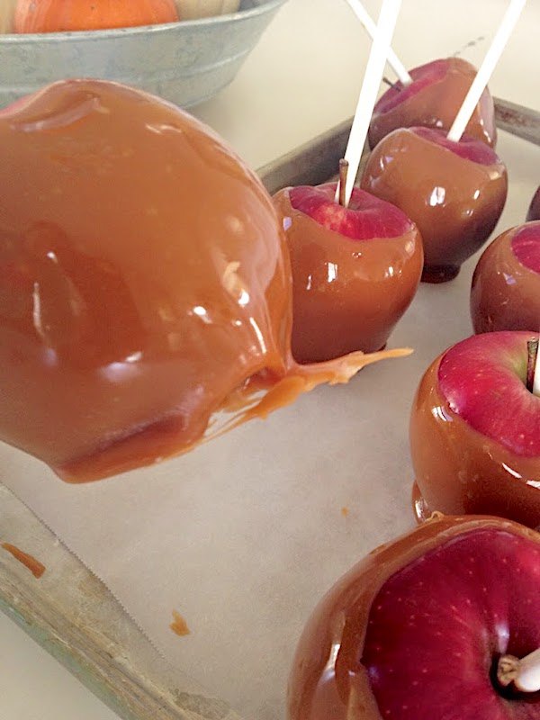 caramel apples drizzled with chocolate tutorial, Caramel apples drizzled with chocolate