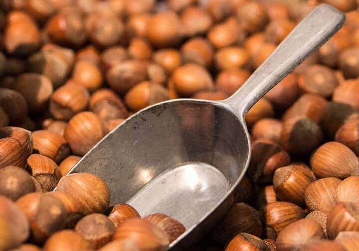 hazelnuts with a metal scoop in them