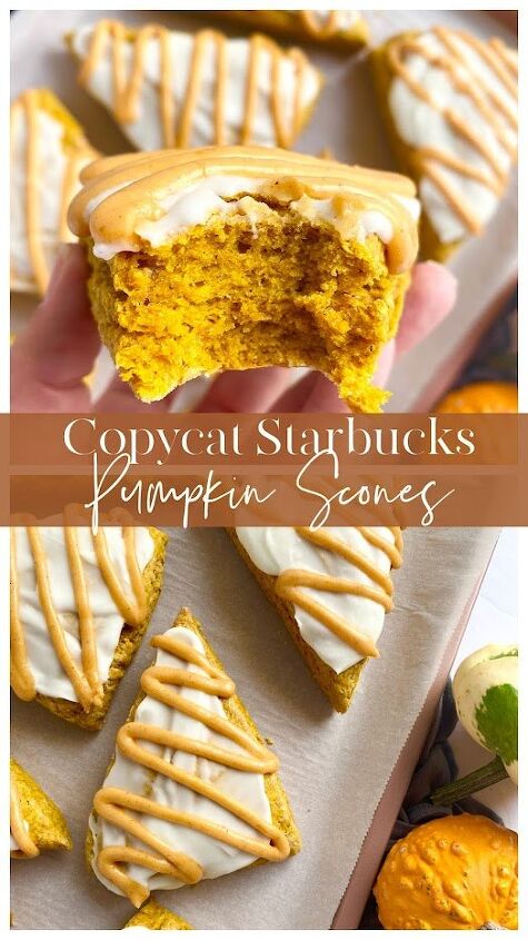 copycat starbucks pumpkin scones, Delicious bite of copycat Starbucks pumpkin scone