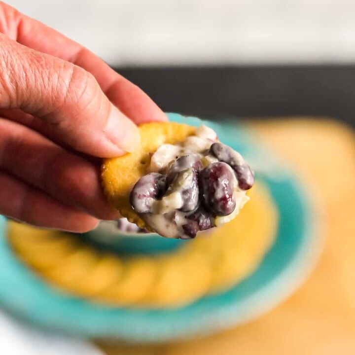 Hand holding a cracker with kidney bean dip