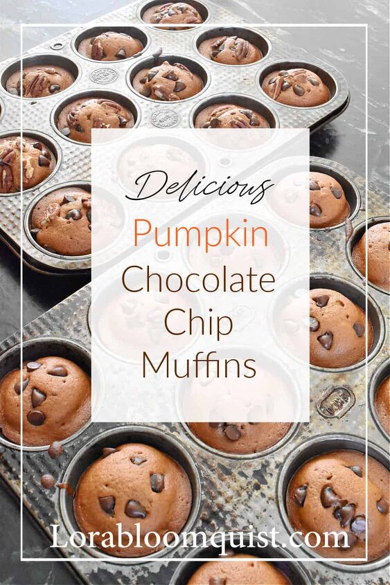 pumpkin chocolate chip muffins, pumpkin chocolate chip muffins