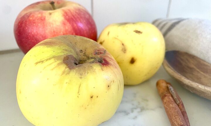 easy spiced sourdough apple oat cake recipe , apples with cinnamon stick on kitchen counter